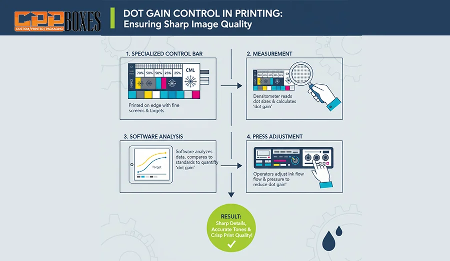 An infographic image showing the process of dot gain and half tone management 