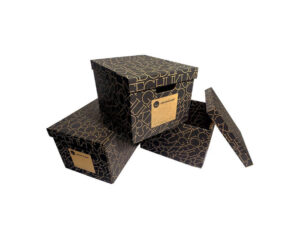 Custom Archive Boxes