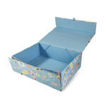 Custom Hinged/Flip Lid Boxes